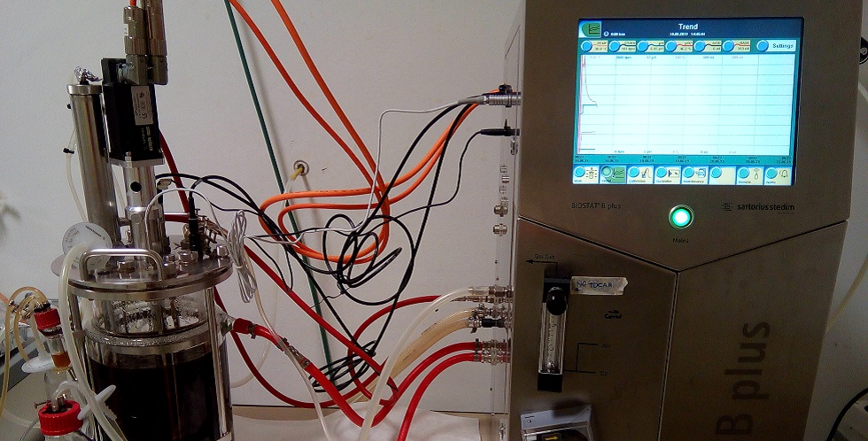 Producción de bioestimulantes vegetales mediante procesos fermentativos para la mejora de biofertilizantes